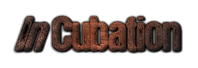 InCubation Logo
